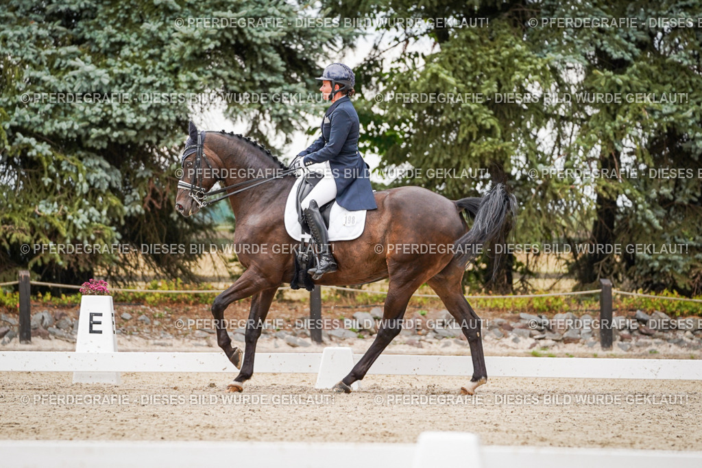 DSC07352 | Pferdegrafie