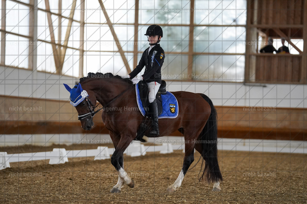 20240825-FAH09582 | Turnierbilder, Reitsportfotos, LAPO, Landesponyturnier, Turnierfotografen Bayern