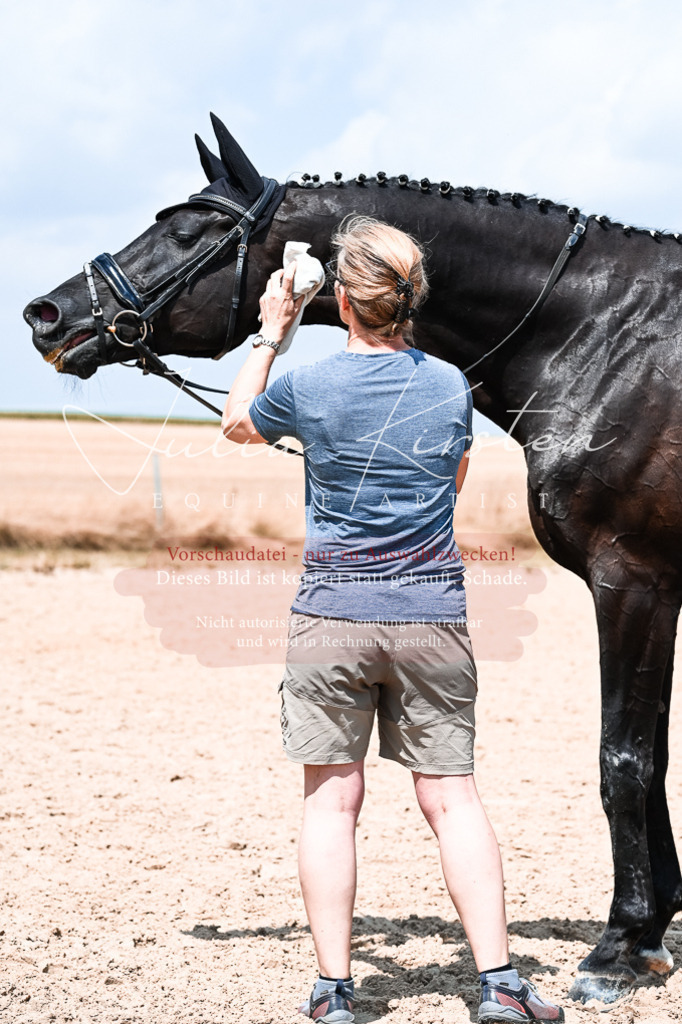 DSC_2735 | Pferde- und Turnierfotografie in Westsachsen. Pferdeportraits, Auftragszeichnungen und intuitive Kunst.