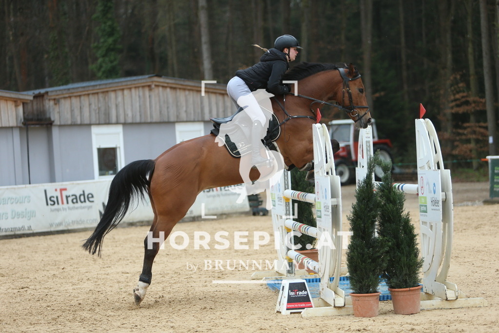 DL2Q7052 | Willkommen bei Brunnmayr - Design & Fotografie – Ihrem Spezialisten für Reitturniere und Pferdeveranstaltungen in Oberösterreich, Salzburg und Bayern! Seit über 17 Jahren sind wir leidenschaftlich dabei.