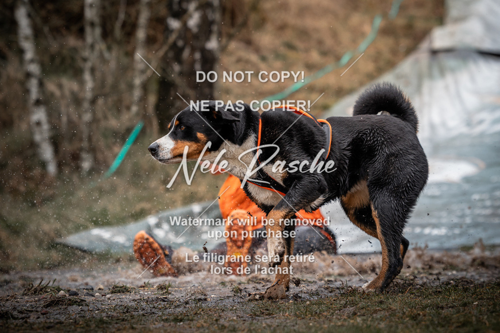 nelerasche_1330-1400_08 | nelerasche