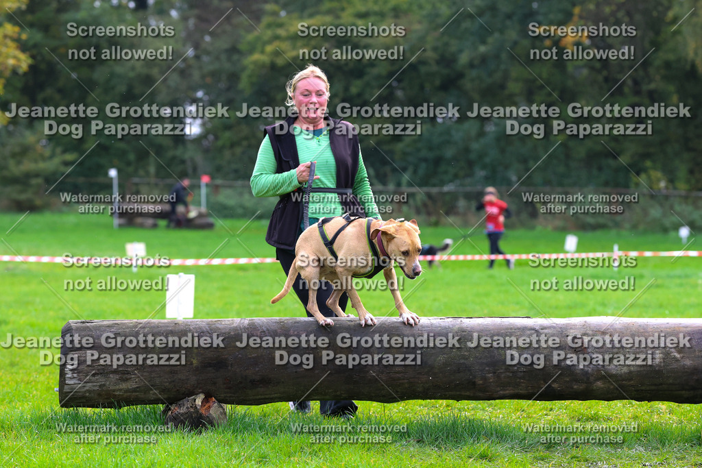 Dog Paparazzi -  SD1026-2168 | Dog Paparazzi Jeanette Grottendiek Fotografie & Videografie - Realisiert mit Pictrs.com