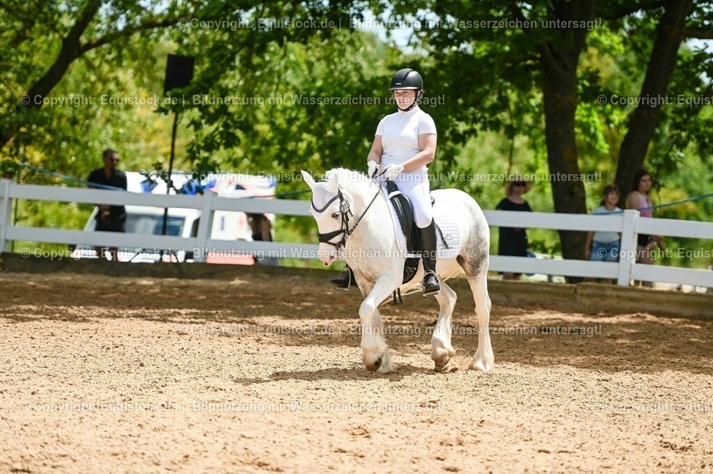 20230715_05_Dressurprüfung Kl.A++_0241 | equistock