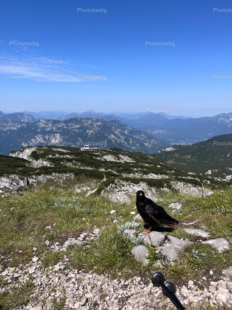 IMG_4270 | phototaetig