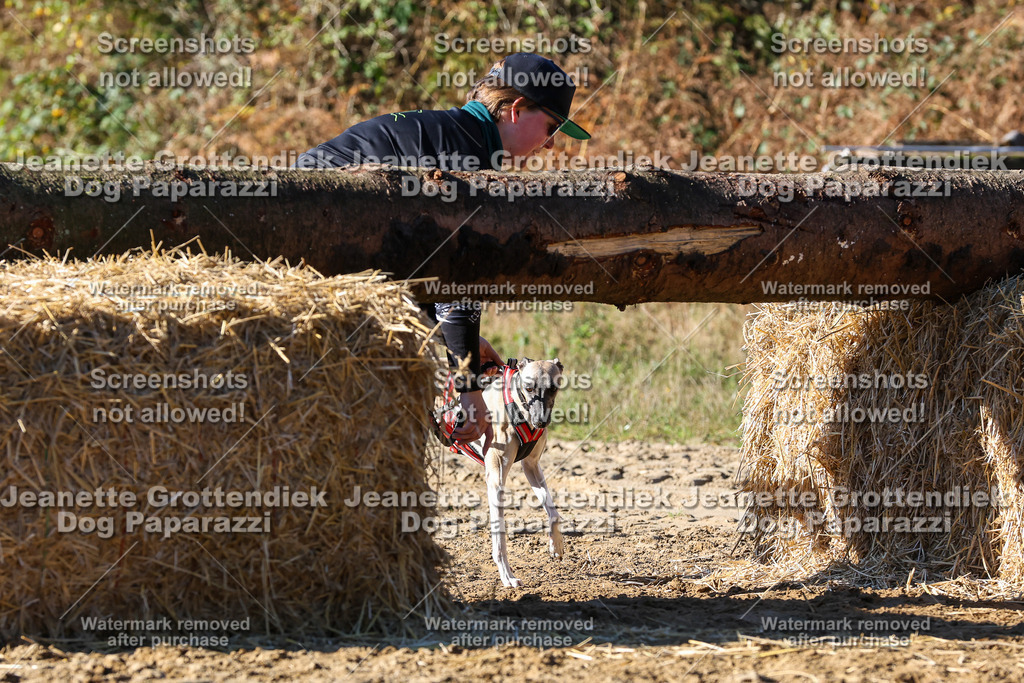 Dog Paparazzi - Strongdog 10-25-2331 | Dog Paparazzi Jeanette Grottendiek Fotografie & Videografie - Realisiert mit Pictrs.com