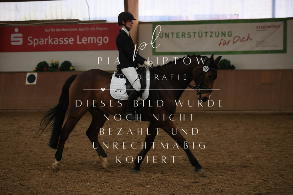 IMGT9520 | pl-fotografie