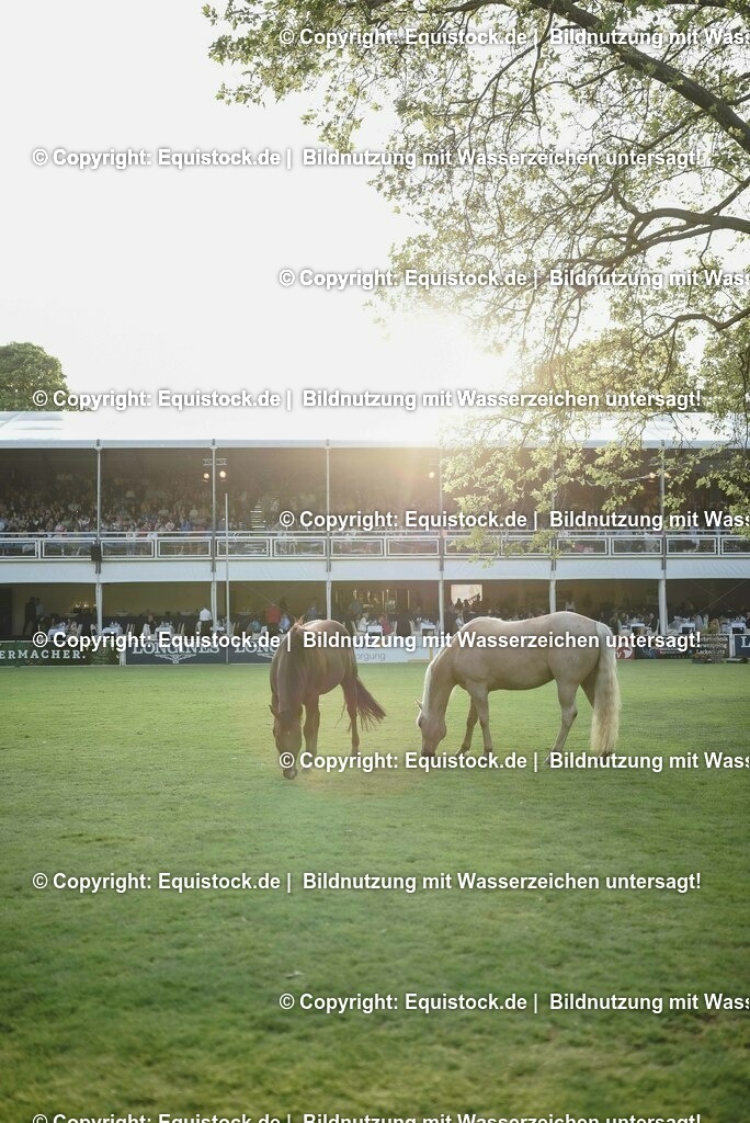 20230526_Impressionen_0334 | equistock