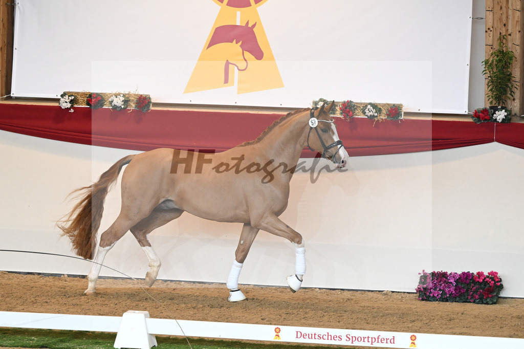 Kat-Nr. 57 Fuerst Samarant_Beckmann_1230596 | hf-fotografie - Realisiert mit Pictrs.com