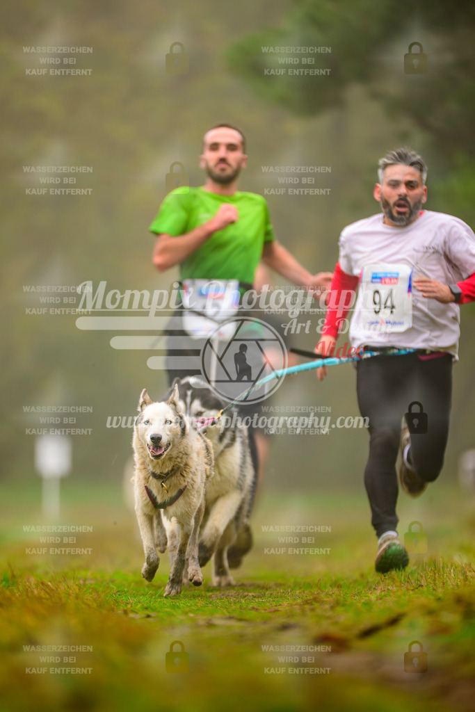 MompixPhotography_Bischwiller2025_Canicross-49 | mompixphotography