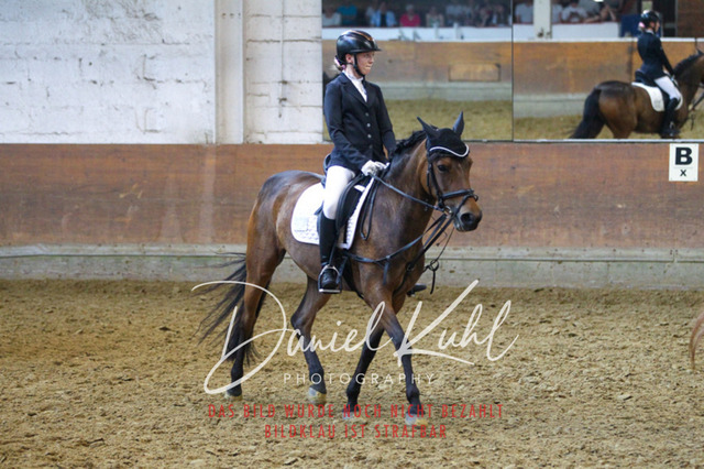 DKP44166 | Turniersportfotografie; Pferdefotografie; Dressurfotografie