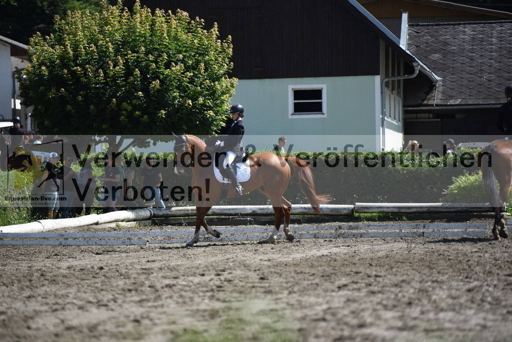 DSC_0164 | equestrian-live-com