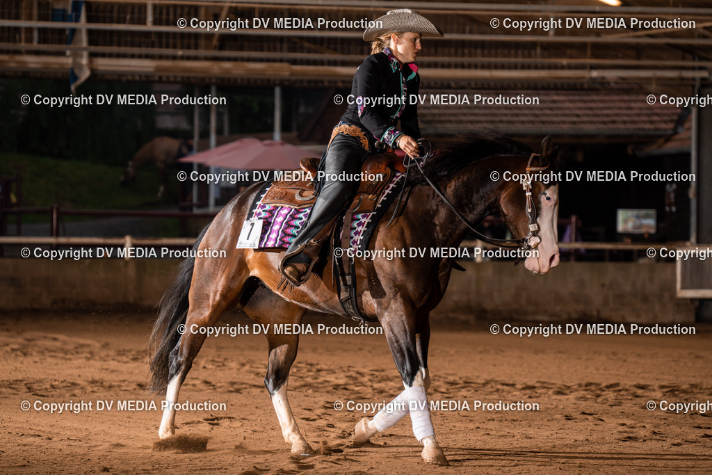 Erbach Tag 3-892 | dv-media-shop - Realisiert mit Pictrs.com