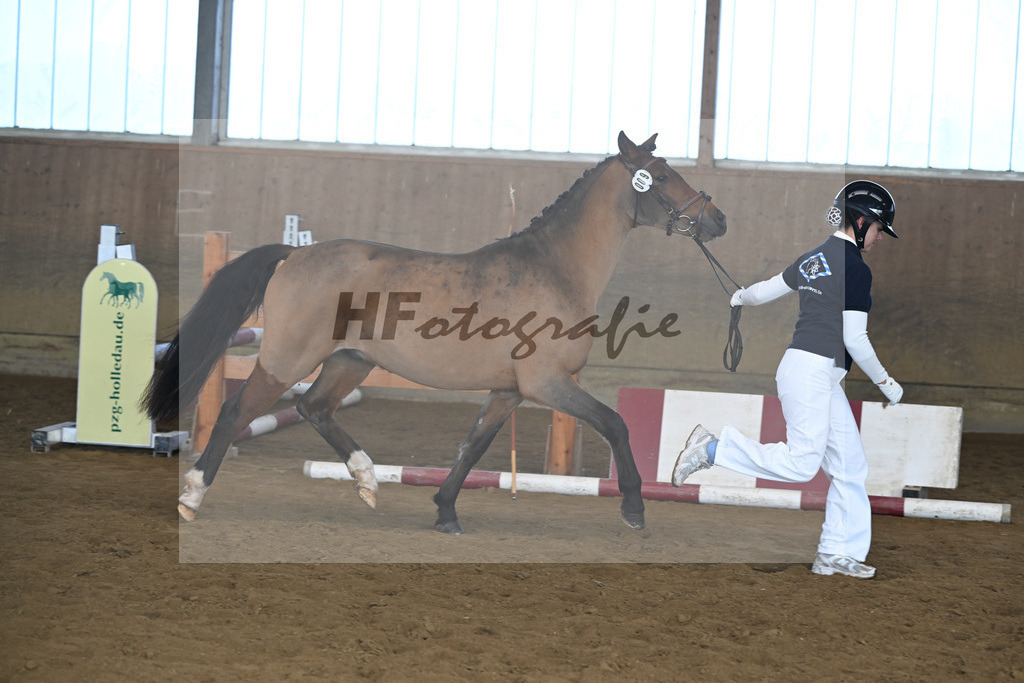 Kat-Nr. 9 More of Hollywood v. Mescal_Drude_49250223 | hf-fotografie - Realisiert mit Pictrs.com