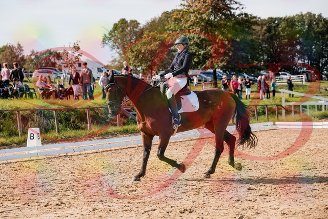 2026_10_03_Siefer-Hof_130259_Z63_64818681 | Professionelle Reitsport-, Turnier- und Eventfotografie von Robert Broda. Galerien mit ausgewählten und bearbeiteten Bildern direkt online ansehen und bestellen.