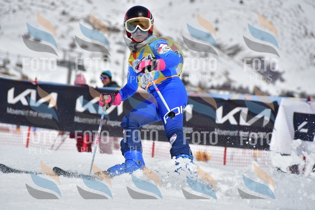 _DSC6919 | holidayphoto