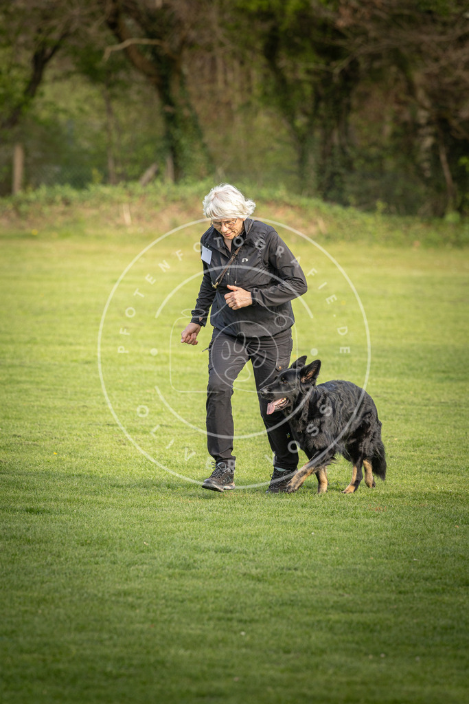 Pfotenfotografie_DV3A4859 | Hundefotografie, Tierfotograf, Pfotenfotografie, Fotoshooting Hund, Hunde Portrait, Hundesport, Hundeportraits, Heideshooting, Hunde, Sportfotograf, Hundefotograf, Turnierhundsport, THS,  - Realisiert mit Pictrs.com