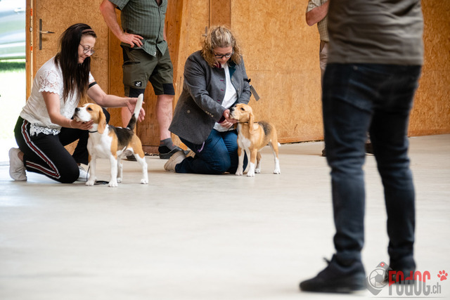 Expo Hunde CAC 2023 Escholznatt | Expo SLC/CCC/CSS (CAC) in Escholzmatt. 03.06.2023 Foto: Leo Wyden