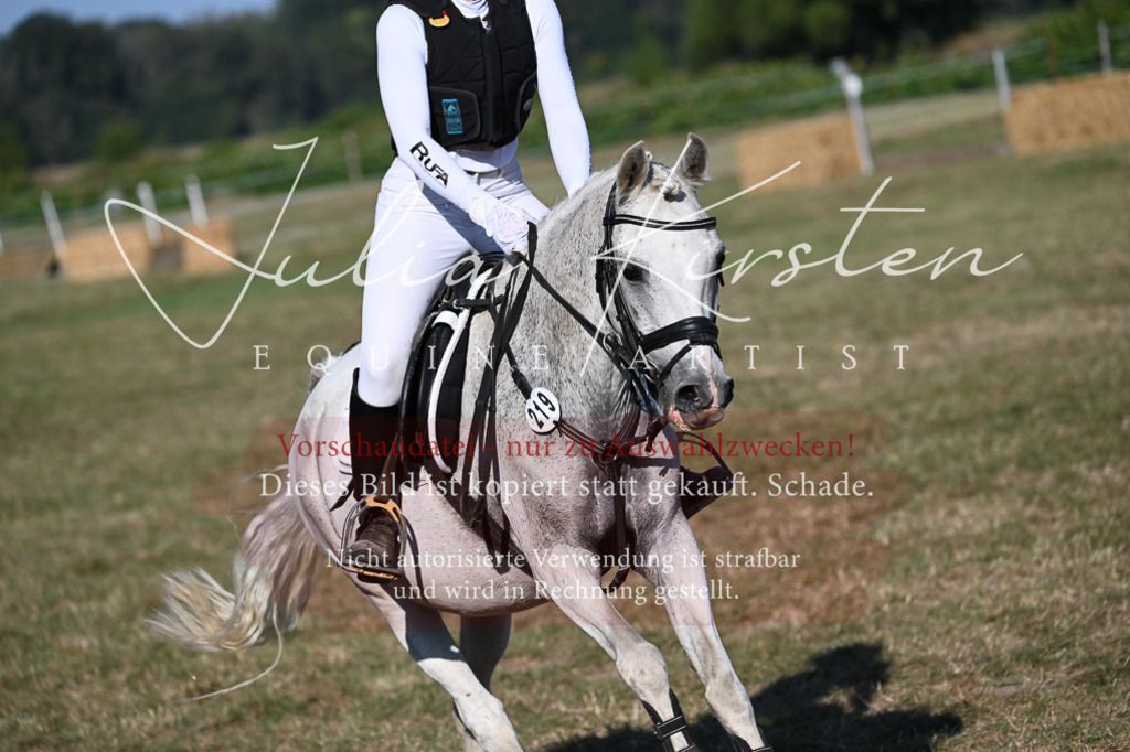 DSC_8958 | Pferde- und Turnierfotografie in Westsachsen. Pferdeportraits, Auftragszeichnungen und intuitive Kunst.