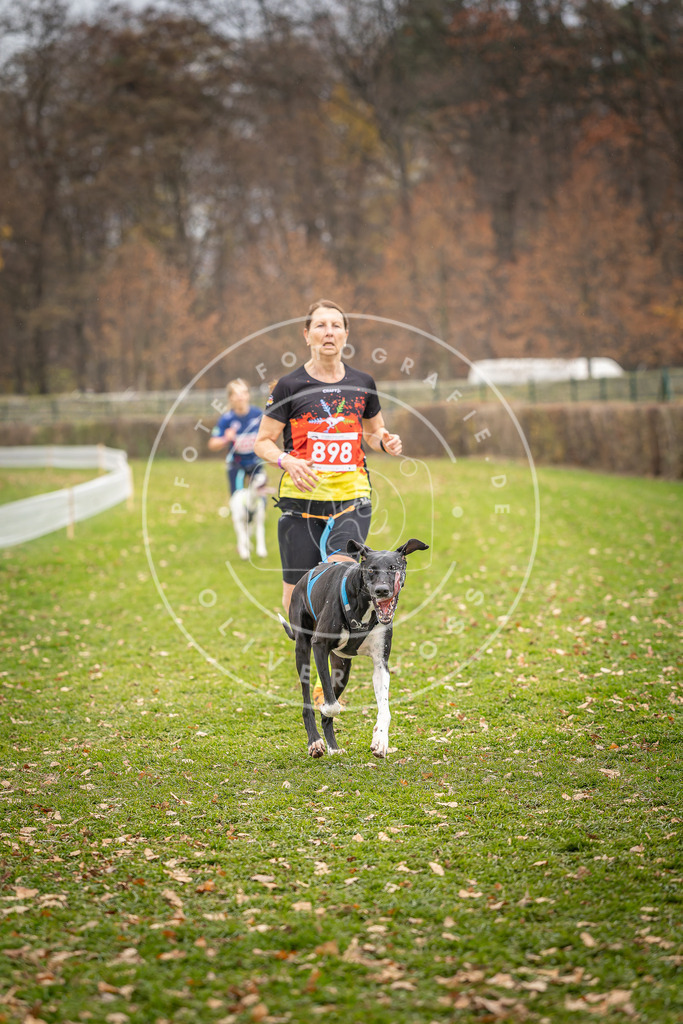CaniXpix_DV3A6859 | Hundefotografie, Tierfotograf, Pfotenfotografie, Fotoshooting Hund, Hunde Portrait, Hundesport, Hundeportraits, Heideshooting, Hunde, Sportfotograf, Hundefotograf, Turnierhundsport, THS,  - Realisiert mit Pictrs.com
