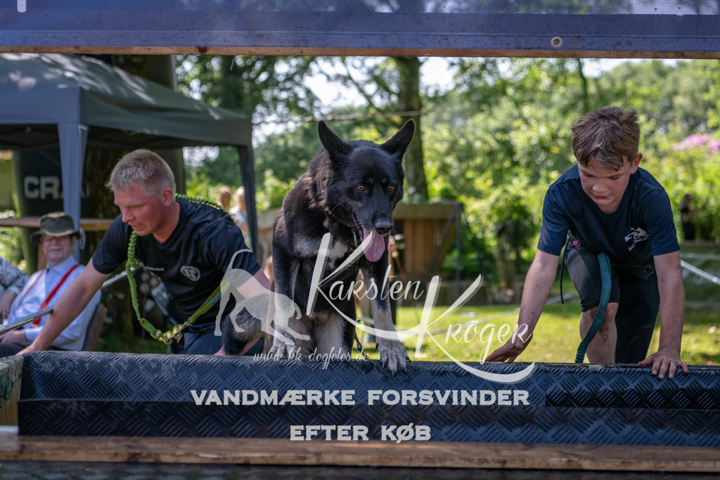 1348_ZZ92245 | kk-dogfotos