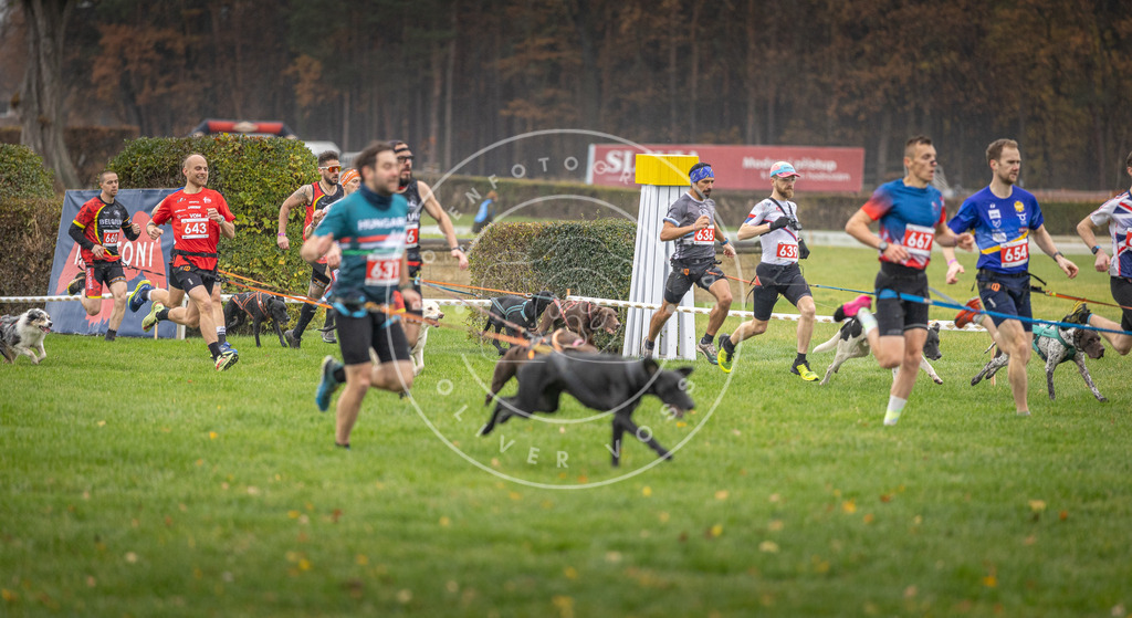 CaniXpix_DV3A9479 | Hundefotografie, Tierfotograf, Pfotenfotografie, Fotoshooting Hund, Hunde Portrait, Hundesport, Hundeportraits, Heideshooting, Hunde, Sportfotograf, Hundefotograf, Turnierhundsport, THS,  - Realisiert mit Pictrs.com