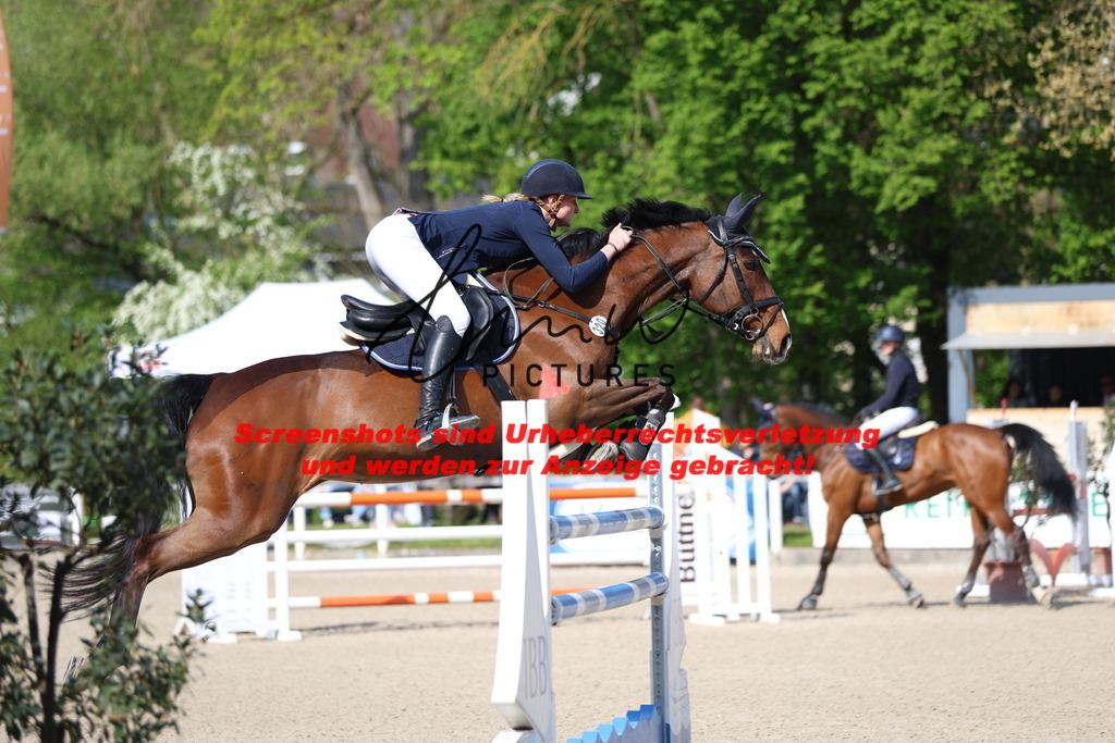 A40A2603 | lmwpictures - Realisiert mit Pictrs.com