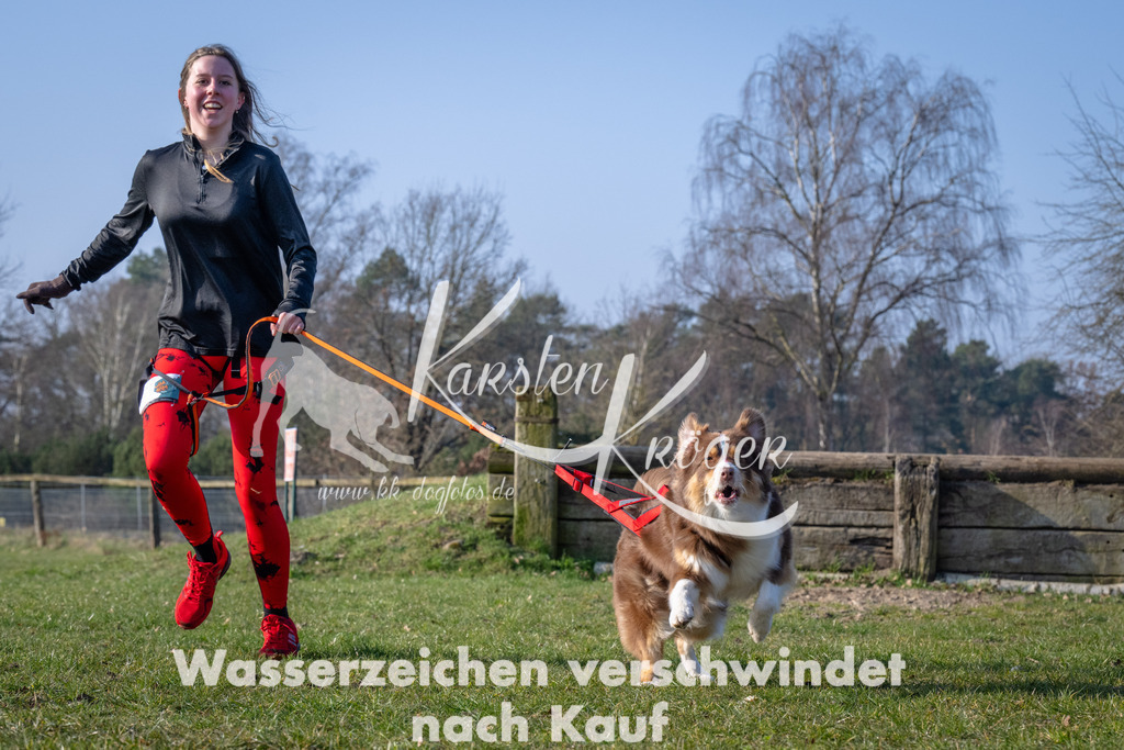_ZZ90454 | kk-dogfotos
