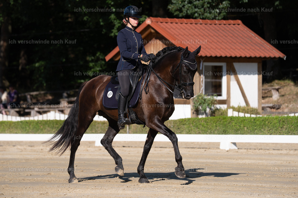 WM_DR_48_sinafilmart_IN04225 | working equitationturnier fotograf videograf stoibphotography marixx film working equitation deutschland reitsport turnierfotografie eventfotografie equestrian events