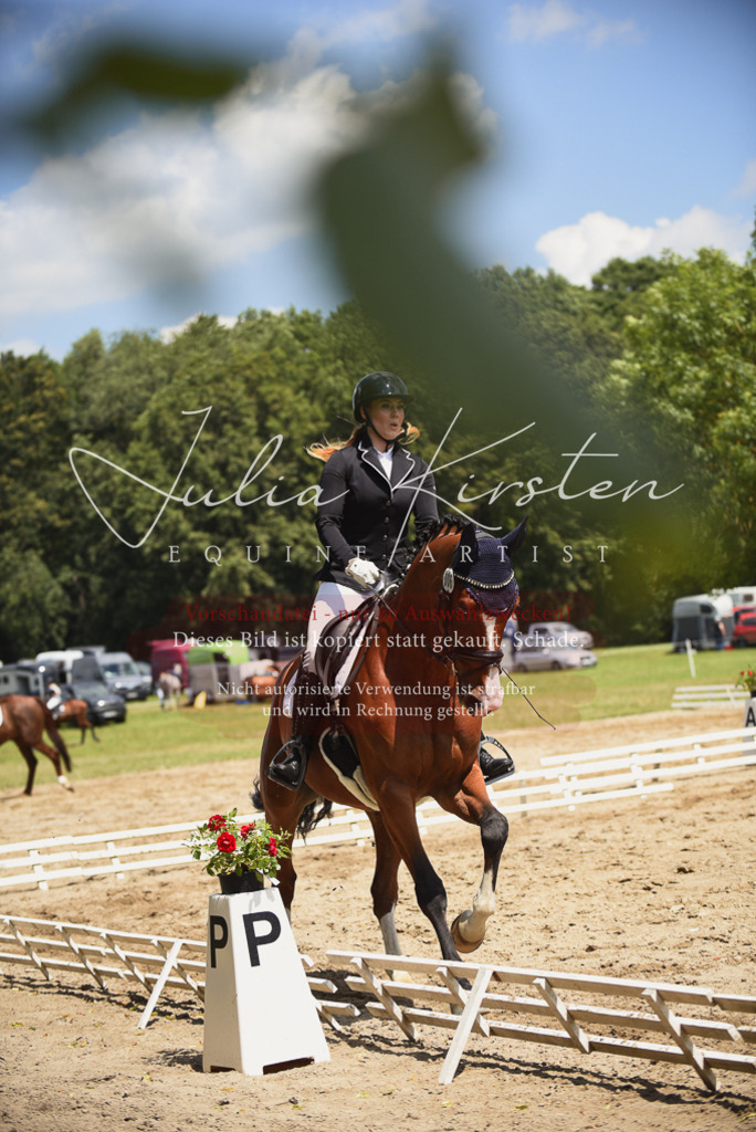 DSC_1271 | Pferde- und Turnierfotografie in Westsachsen. Pferdeportraits, Auftragszeichnungen und intuitive Kunst.