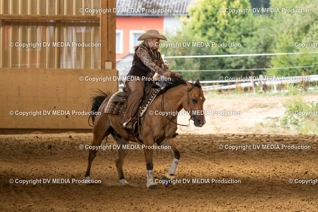 LAU01501 | dv-media-shop - Realisiert mit Pictrs.com