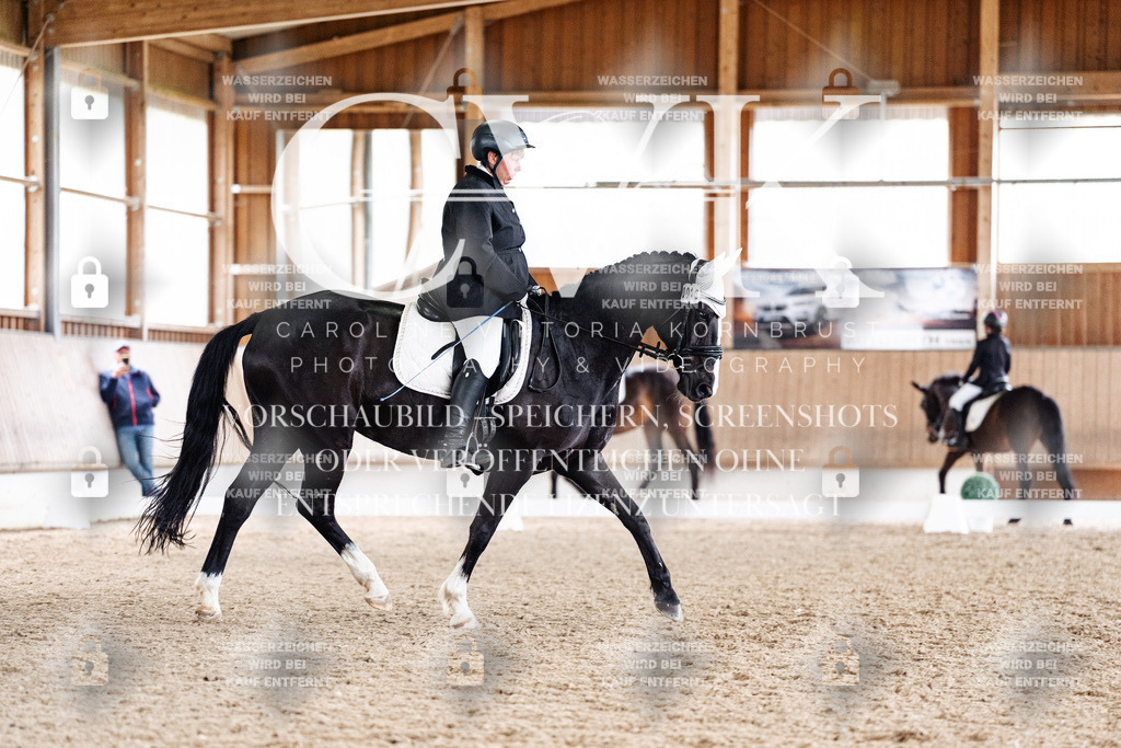 CK901161 | Turnierfotografie Pferdefotografie Trier Rheinland-Pfalz Pferdesport Reitsport Tierfotografie Sportfotografie Pferdevideo Pferdevideografie Equestrianvideography equestrianphotography  - Realisiert mit Pictrs.com