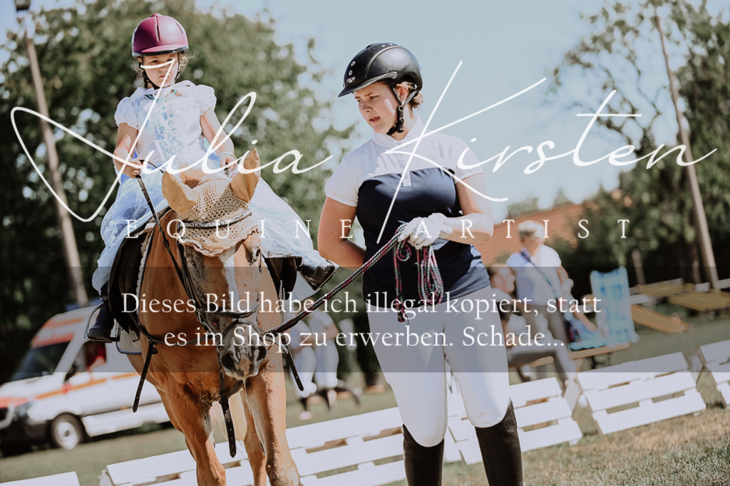 DSC_8879 | Pferde- und Turnierfotografie in Westsachsen. Pferdeportraits, Auftragszeichnungen und intuitive Kunst.
