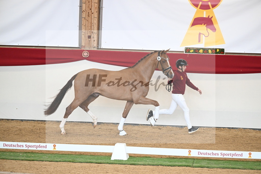 Kat.-Nr. 84 v. Vaderland_van den Oetelaar_2250799 | hf-fotografie - Realisiert mit Pictrs.com