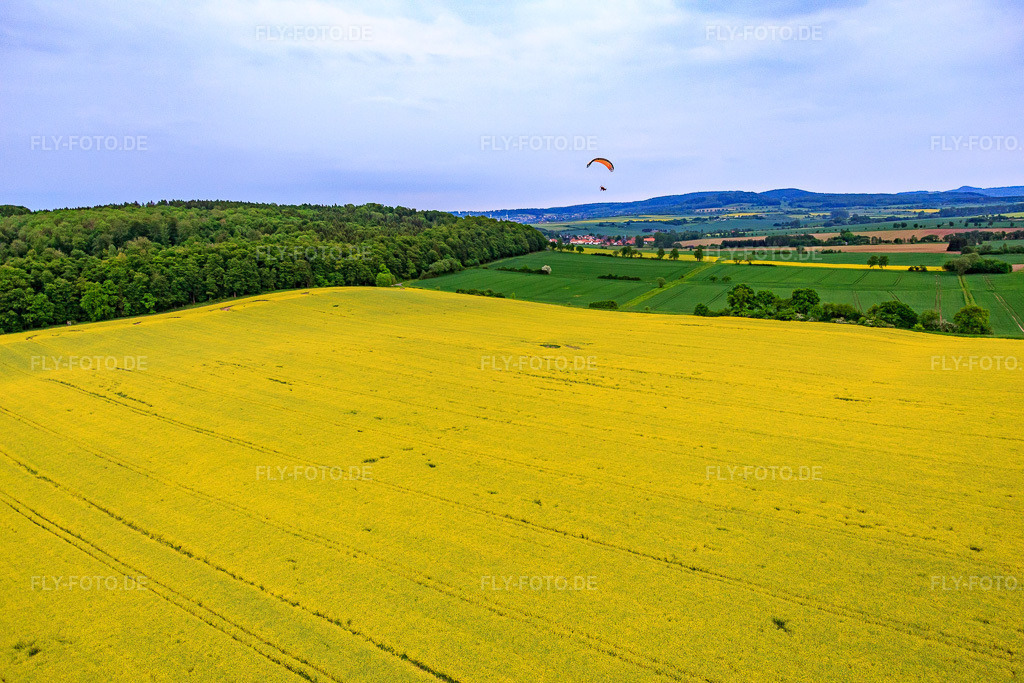 Luftbild: Rapsfeld XL im Ortsteil Güntersen in Adelebsen im Bundesland Niedersachsen in Deutschland. Foto: IMG_079537.jpg vom 24.05.2015 durch Werner Riehm/FLY-FOTO.de