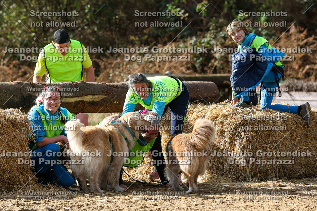 Dog Paparazzi - Strongdog 10-25-5593 | Dog Paparazzi Jeanette Grottendiek Fotografie & Videografie - Realisiert mit Pictrs.com