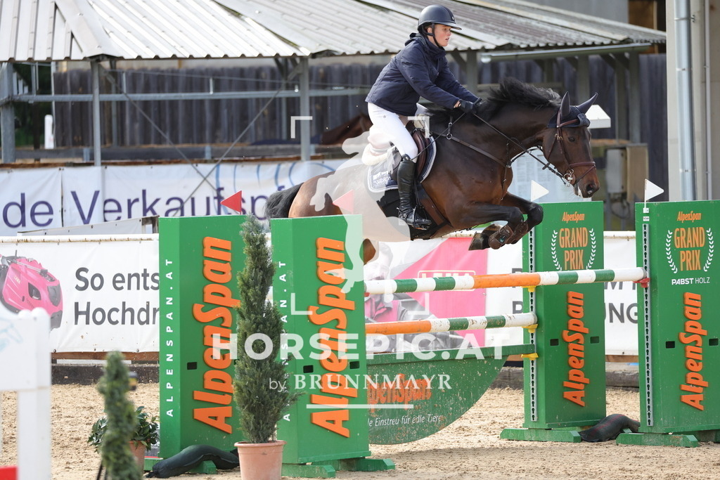 0P6A9666 | Willkommen bei Brunnmayr - Design & Fotografie – Ihrem Spezialisten für Reitturniere und Pferdeveranstaltungen in Oberösterreich, Salzburg und Bayern! Seit über 17 Jahren sind wir leidenschaftlich dabei.