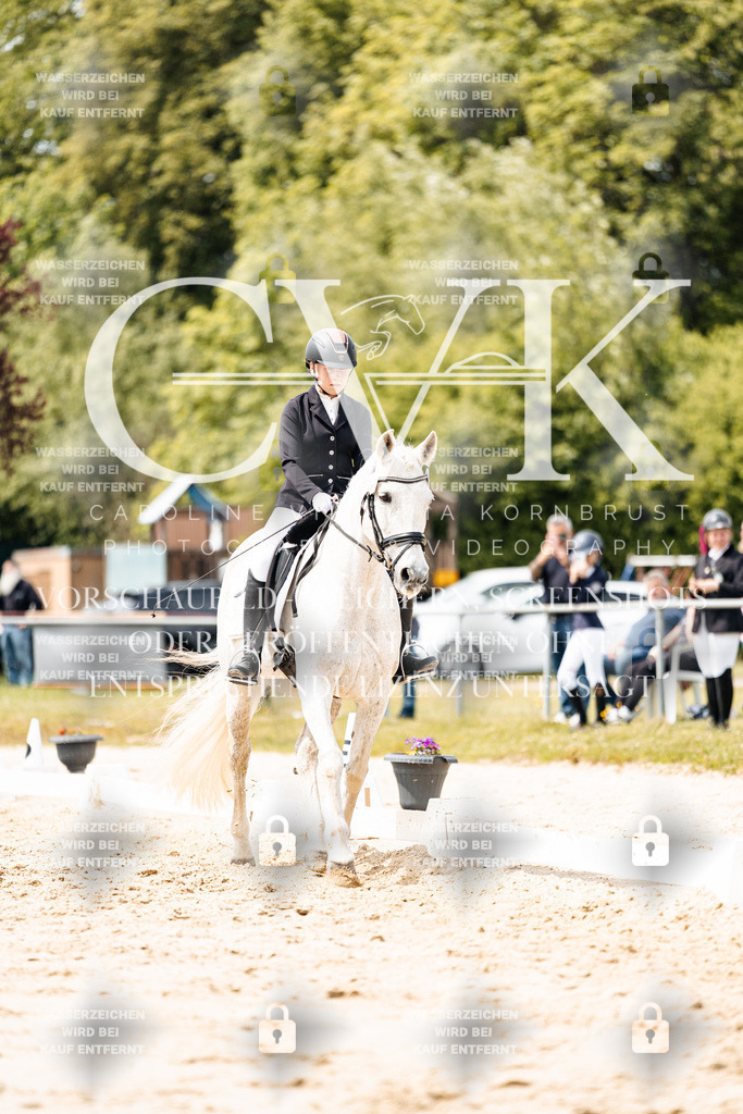 CK902443 | Turnierfotografie Pferdefotografie Trier Rheinland-Pfalz Pferdesport Reitsport Tierfotografie Sportfotografie Pferdevideo Pferdevideografie Equestrianvideography equestrianphotography  - Realisiert mit Pictrs.com