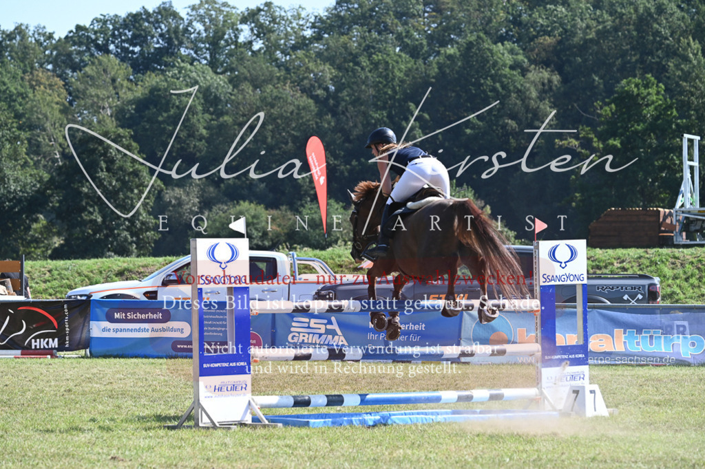 DSC_6469 | Pferde- und Turnierfotografie in Westsachsen. Pferdeportraits, Auftragszeichnungen und intuitive Kunst.