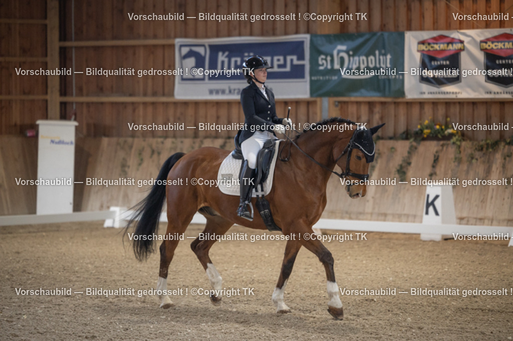 _D5A4383 | Emotionale Pferde- & People-Fotografie rund um Heidelberg, Leimen & Umgebung. Natürliche Fotos von Pferd, Mensch & Familie. Jetzt Termin sichern!