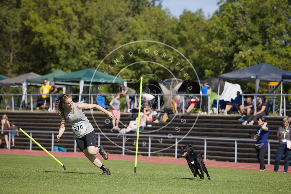 0L8A6745 | Hundefotografie, Tierfotograf, Pfotenfotografie, Fotoshooting Hund, Hunde Portrait, Hundesport, Hundeportraits, Heideshooting, Hunde, Sportfotograf, Hundefotograf, Turnierhundsport, THS,  - Realisiert mit Pictrs.com