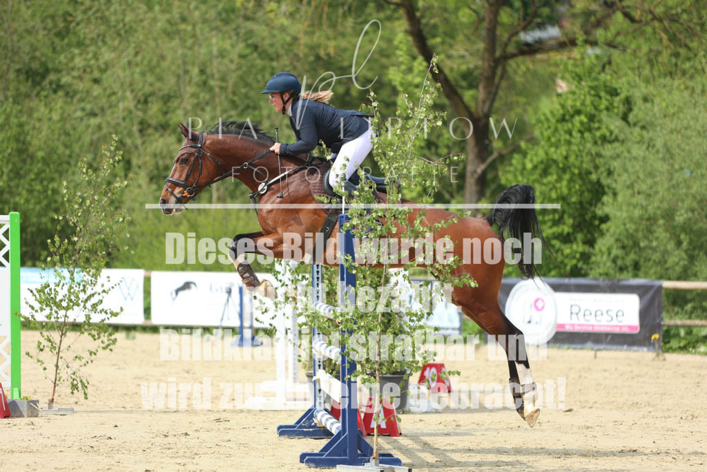 IMGM5763 | pl-fotografie