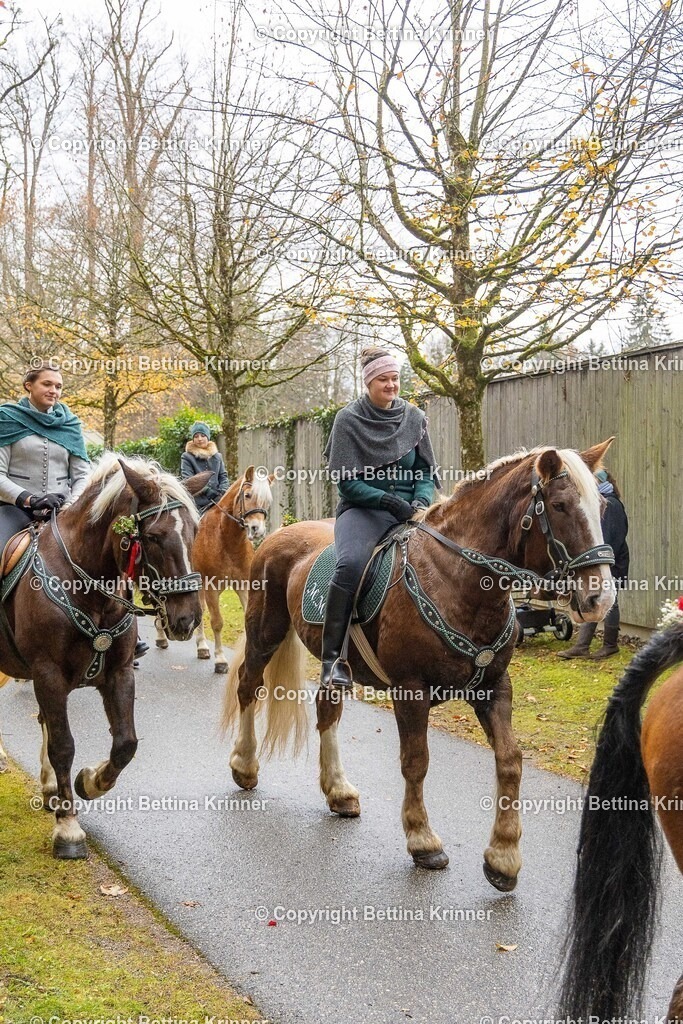 LL25-258 | foto-bettina-krinner - Realisiert mit Pictrs.com