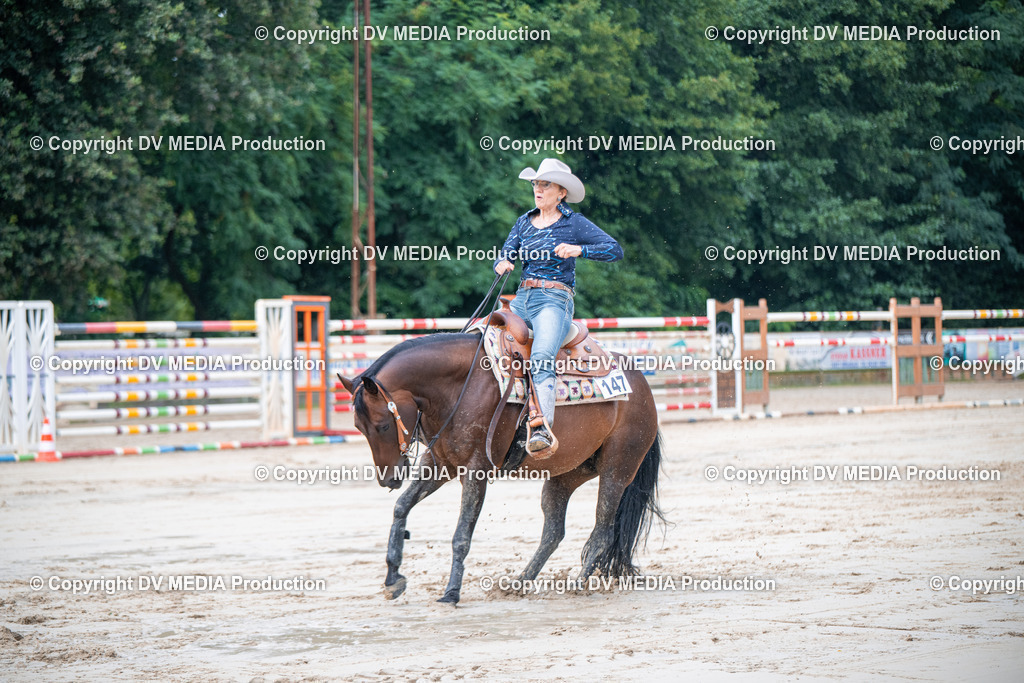 ZS2_4324 | dv-media-shop - Realisiert mit Pictrs.com