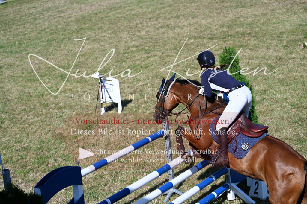 DSC_2434 | Pferde- und Turnierfotografie in Westsachsen. Pferdeportraits, Auftragszeichnungen und intuitive Kunst.