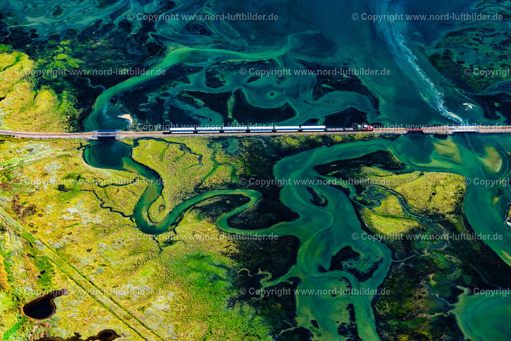 Wangerooge_Inselbahn_Seegraswiesen_ELS_8461050923 | WANGEROOGE 05.09.2023 Grasflächen- Strukturen einer Hallig- Landschaft mit fahrenden Zug der Wangerooger Inselbahn - Schmalspurbahn in Wangerooge im Bundesland Niedersachsen, Deutschland. Weiterführende Informationen bei: Deutsche Bahn Stiftung gGmbH DB Museum,  Kurverwaltung Nordseeheilbad Wangerooge. // Grassland structures of a Hallig landscape with moving train of the Wangerooger Inselbahn - narrow-gauge railway in Wangerooge in the state Lower Saxony, Germany. Further information at: Deutsche Bahn Stiftung gGmbH DB Museum,  Kurverwaltung Nordseeheilbad Wangerooge. Foto: Martin Elsen