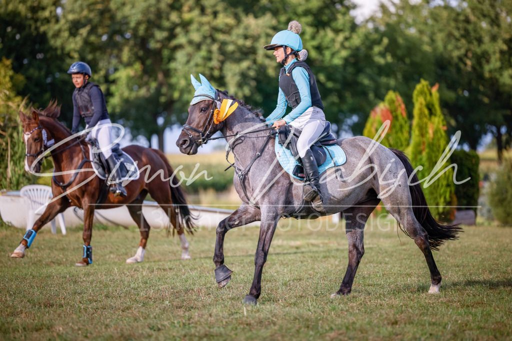 20250905-_3LI2501 | Tierfotografie Pferde, Hunde, Katzen, Haustiere.
Turnierfotografie Reitturniere, Reiten, Springreiten, Dressur in Hanau, dem Main-Kinzig-Kreis und dem Rhein-Main- Gebiet um Frankfurt