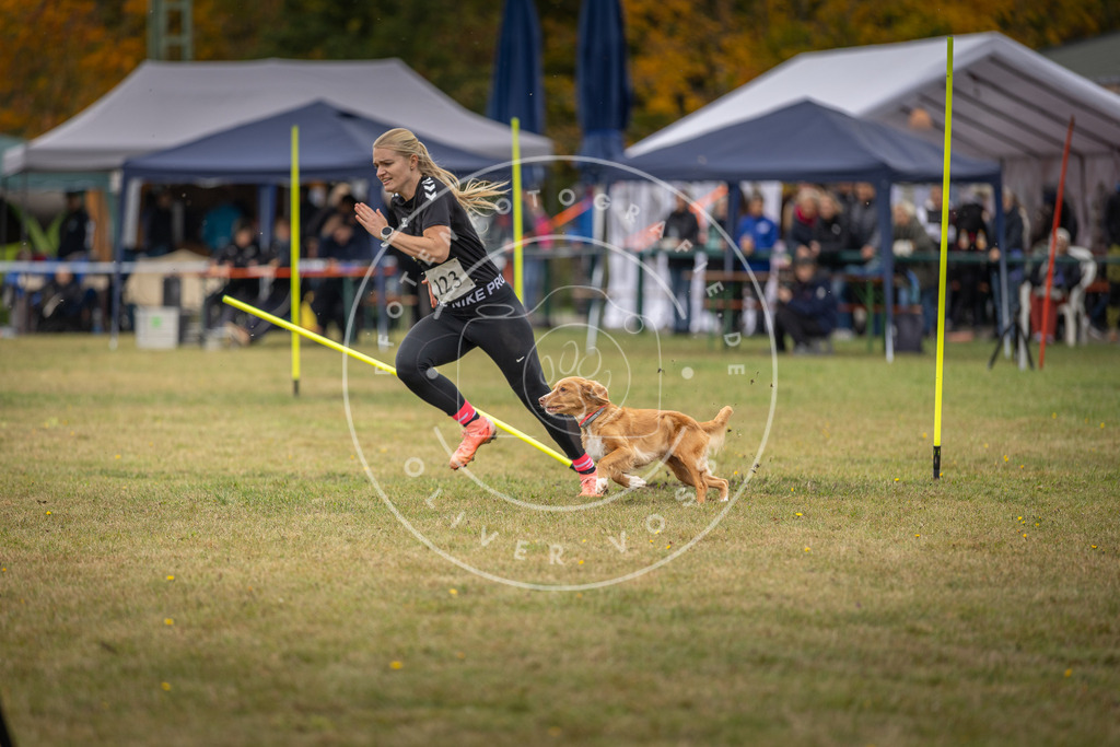 Pfotenfotografie_DV3A7473 | Hundefotografie, Tierfotograf, Pfotenfotografie, Fotoshooting Hund, Hunde Portrait, Hundesport, Hundeportraits, Heideshooting, Hunde, Sportfotograf, Hundefotograf, Turnierhundsport, THS,  - Realisiert mit Pictrs.com