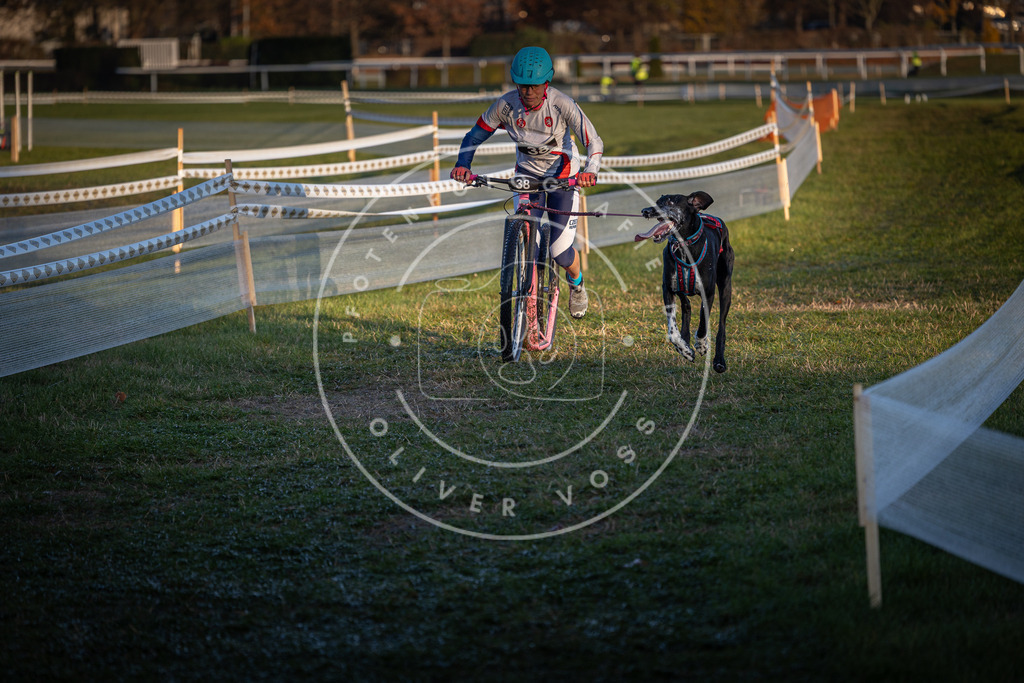 CaniXpix_0L8A2303 | Hundefotografie, Tierfotograf, Pfotenfotografie, Fotoshooting Hund, Hunde Portrait, Hundesport, Hundeportraits, Heideshooting, Hunde, Sportfotograf, Hundefotograf, Turnierhundsport, THS,  - Realisiert mit Pictrs.com
