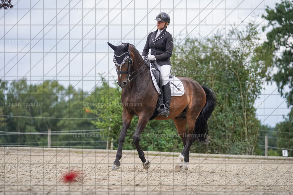 20230826-FAH06294 | Forstinning, 2023, Dressurturnier, Turniersportbilder, Turnierfotografen Bayern, Fotoagentur Herrmann, Reitsportfotografie, Turnierbilder