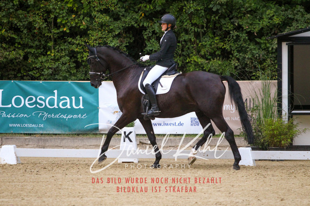 DKP41323 | Turniersportfotografie; Pferdefotografie; Dressurfotografie